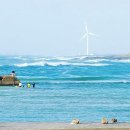 푸르미농장 이미지