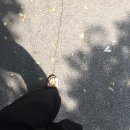 초연한의원 이미지