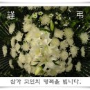 강동-천호-4216 이미지