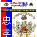 마루아라태권도 네이버블로그