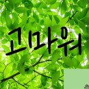 토다기