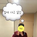 오프더데이지 이미지