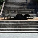 지리산학교스테이 | 3일 5인 가족 여행 | 지리산 천년 사찰 쌍계사 정보 주차 역사 배롱나무 풍경 후기 (부모님 모시고 가...