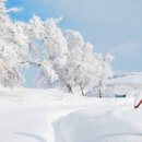 함께 뛰노는 스포츠 이미지