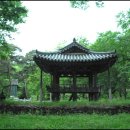 ＜미리보기＞근심 잊고 힐링하는 천혜의 자연 속 명승 ㅡ 6. 거창군 북상면 갈계숲에서 일어날 줄을 모르다 이미지