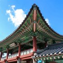 제주로베로 이미지