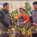 익산 농장 이미지