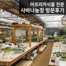 산파란골농장 | 아프리카식물, 괴근식물, 오베숨 등 전문농장 사바나농장 방문후기