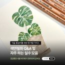 색연필화A 이미지