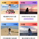 장풍목장 | 베트남 나트랑 : 선라이즈 판랑 사막 투어 :: 공항 픽업부터 업체 선택까지 내돈내산 후기