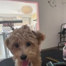 멍키매직 이미지