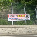 라이온네이처빌리지 이미지