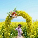 French Chanson Music 이미지