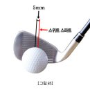 골프 숏 아이언 샷과 웨지 샷(short iron shot &amp; wedge shot) 이미지