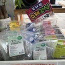 그린펫클럽 이미지