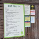 비발디캠핑파크 이미지
