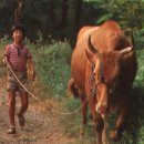 미스터원 이미지