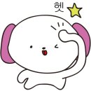 카야(KAYA) 이미지