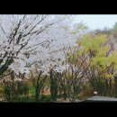 서창101수작부리는카페 이미지
