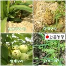 와촌농장 이미지