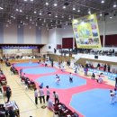 대표태권도 이미지