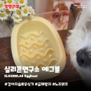 강아지밥그릇 실리콘연구소 에그볼 | 급체방지와 구강케어까지 슬로우식기 1년 솔직후기