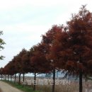 랜드정문공인중개사사무소 이미지