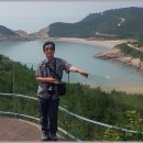보라색 이미지