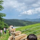 유민목장 이미지