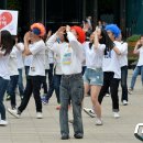 아리수유도 이미지