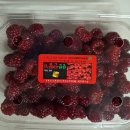 치즈품은동전빵 - 공주시 | 치즈품은동전빵