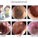 귀일지 이미지