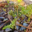 창선생활체육공원 이미지