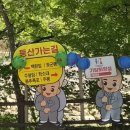 봄 청송 주왕산 국립공원 (5월 5일) 등반 후기