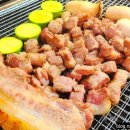 로뎅853-1 이미지