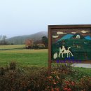 반딧불 목장 이미지