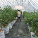 권택농장 이미지