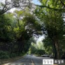 GS25 용인양지점 | [용인 처인구 양지파인cc] 강남에서 40분 거리, 50년 된 골프장 (Feat. 클럽하우스 메뉴판)