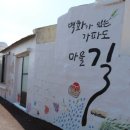 제주초록보리