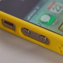 멍멍이발바닥 이미지