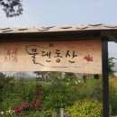 물댄동산 이미지