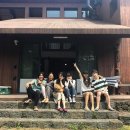 효리네 민박 이미지