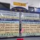 임신 38주 안산 임산부 왁싱 , 글래드뷰티