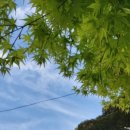 수달수영장 앞 이미지