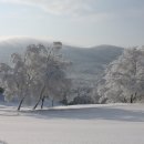 대관령목장 이미지