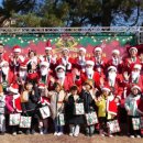 강진9호 이미지