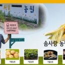 윤정상회 이미지