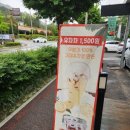 거제 몽돌오란다 이미지
