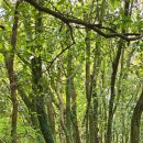 신평마을회관 이미지