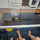 설펜션 | 가평펜션 설리조트 후기 워터빌라 예약후기 내돈내산